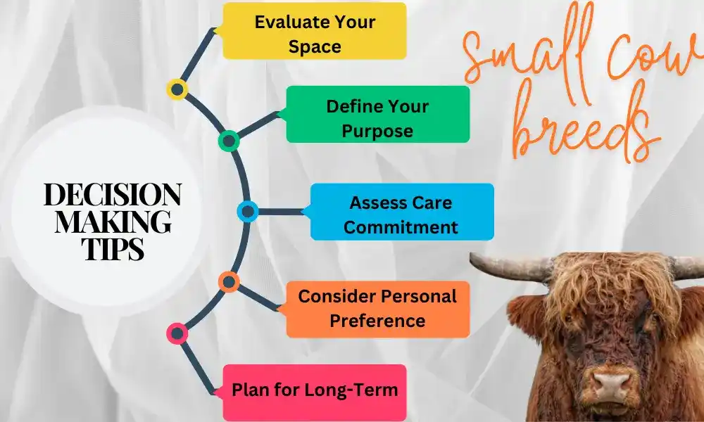 Decision-Making Tips