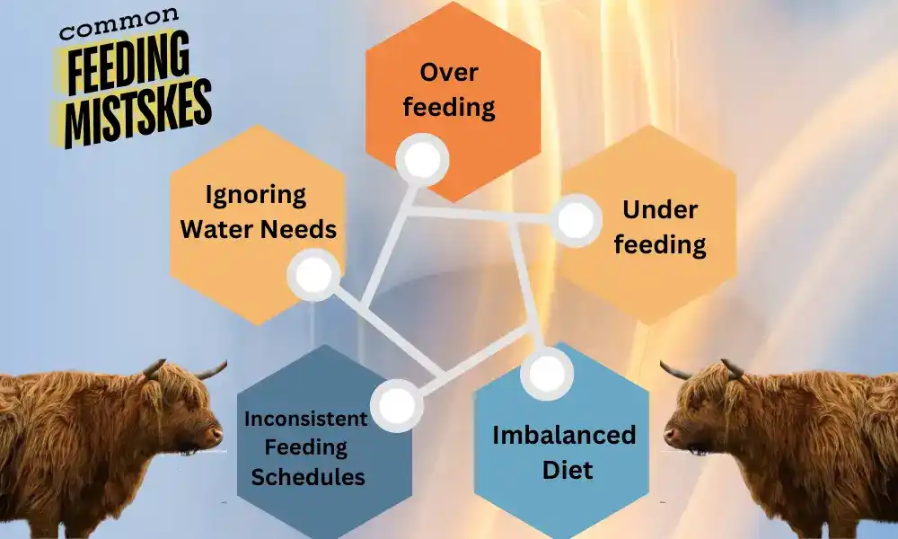 Common Feeding Mistakes