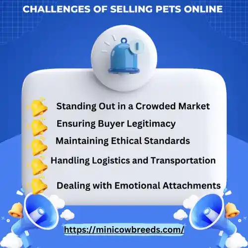 Challenges Of Selling Cattle Online