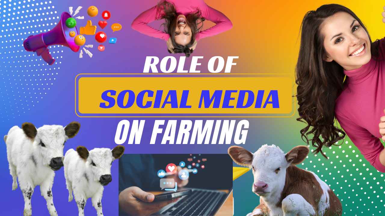 How does social media affect farming?